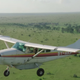 Image for article titled Data-Collecting Planes Are Counting Africa's Elephants to Curb Poaching